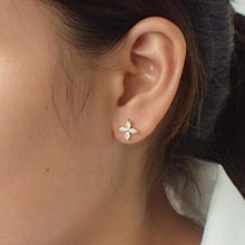 Load image into Gallery viewer, earrings
